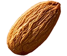 تیکه اجیل 1