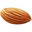 تیکه اجیل 2