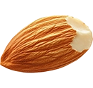 تیکه اجیل3